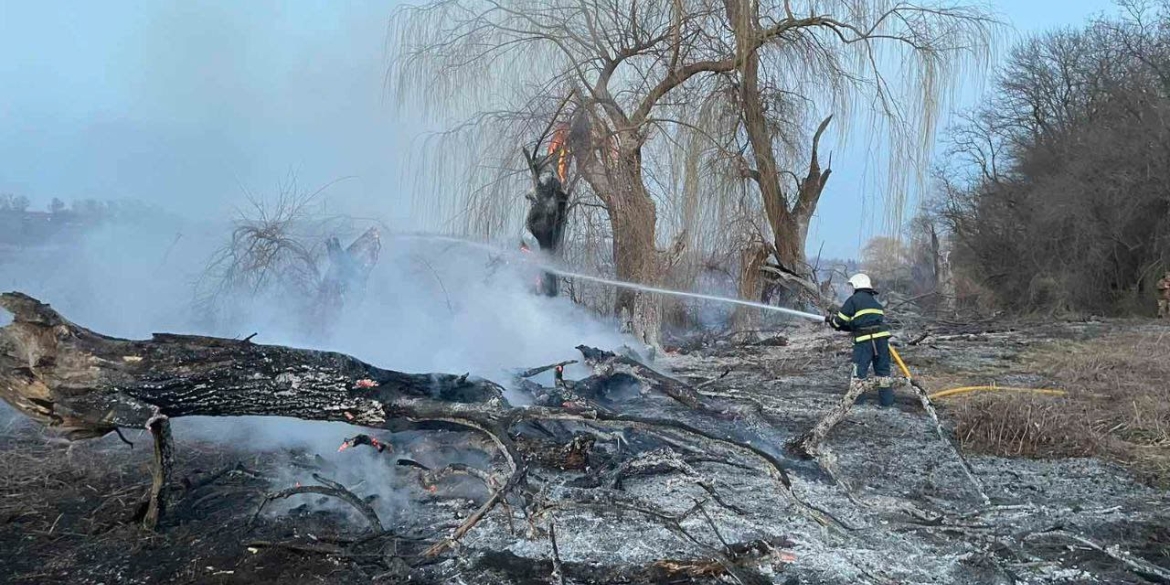 Рятувальники Вінниччини ліквідували 30 пожеж в екосистемах за один день