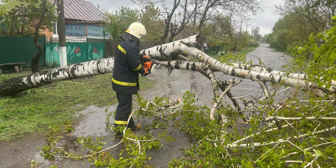 Рятувальники Вінниччини прибирали з доріг повалені вітром дерева