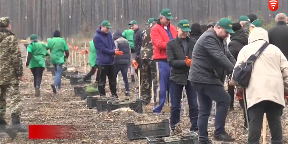 На Вінниччині відновлюють ліси