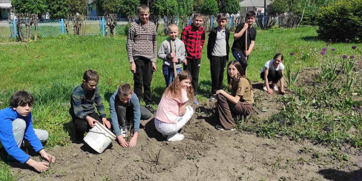 У 23 громадах Вінниччини висадять трояндові Алеї Слави на честь полеглих Героїв