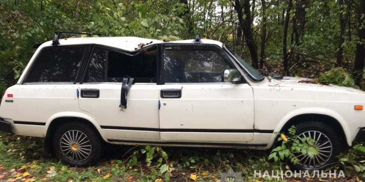 У Барській громаді дерево впало на авто - водій загинув