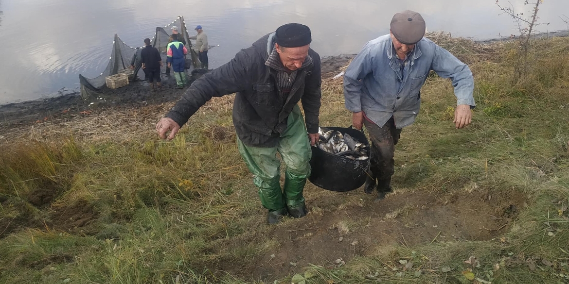 У Гайсинському районі зарибили Дмитренківське водосховище