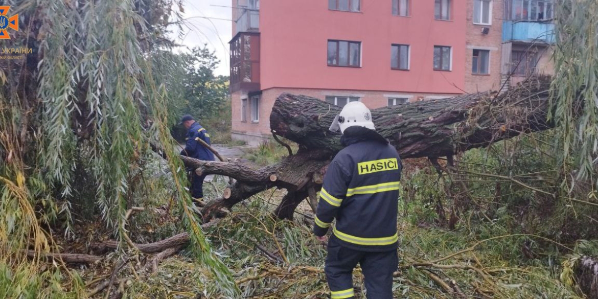 У Гнівані рятувальники прибрали з дороги дерево - впало через сильний вітер