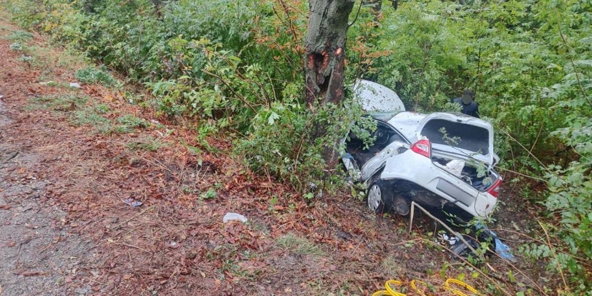 У Гайсинському районі Renault злетів з дороги у кювет - загинула 15-річна пасажирка