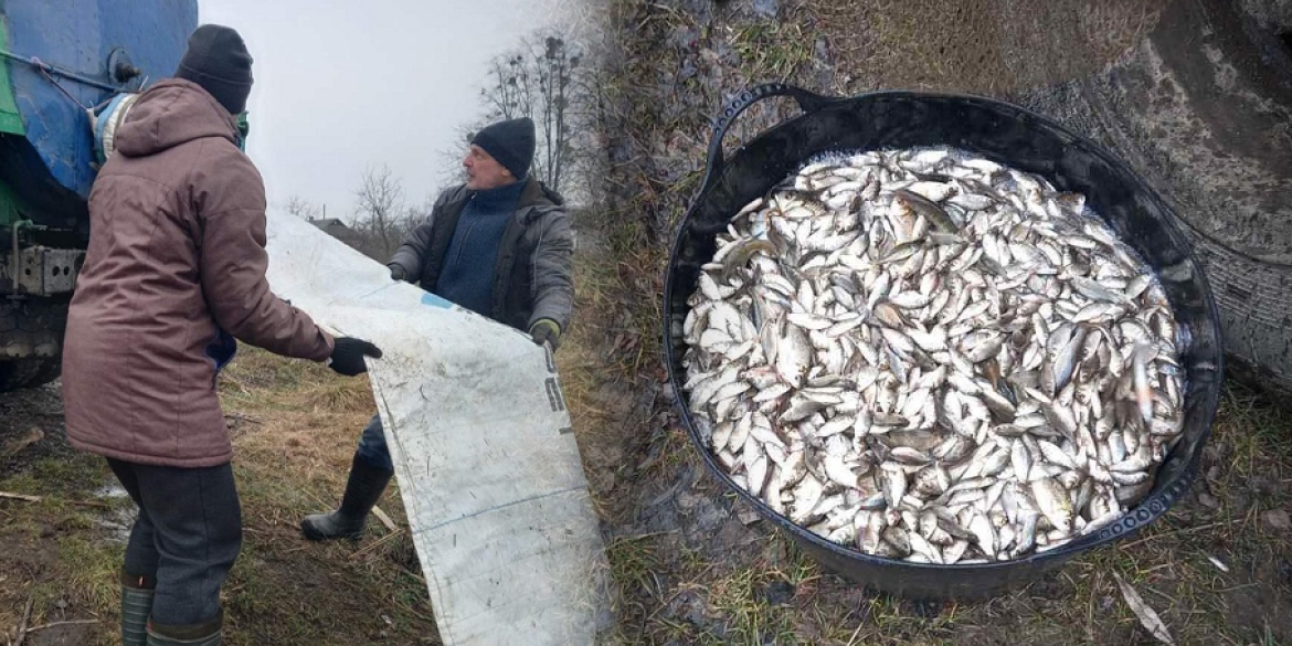 У Калинівці зарибили чотири ставки - випустили понад дві тонни малька