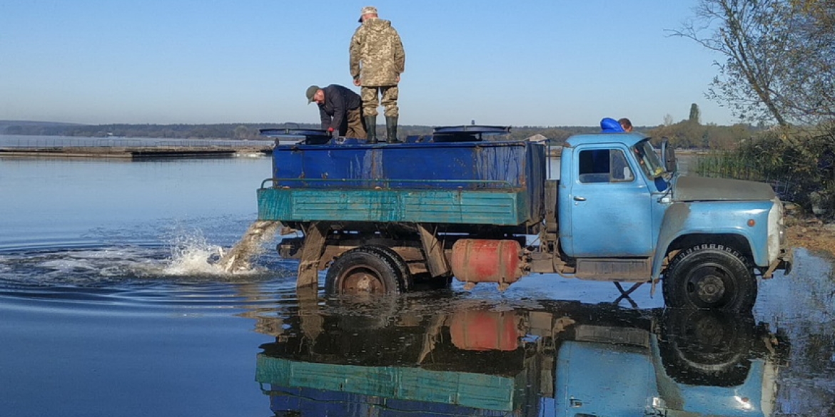 У Ладижинське водосховище випустять майже 18,5 тонн риби