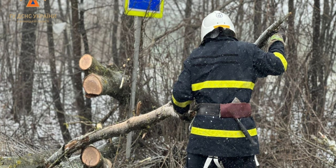 У Літинській громаді дерево впало на трасу та перекрило рух автотранспорту