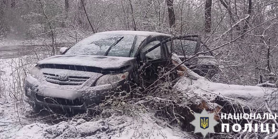 У Могилів-Подільському районі 19-річний водій Tayota злетів у кювет