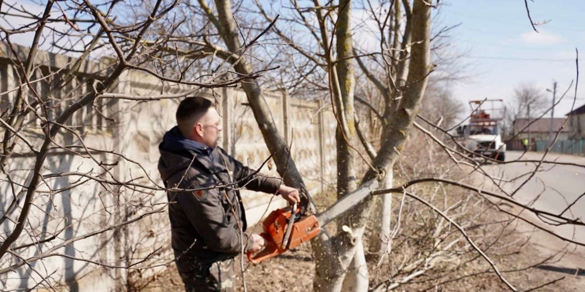 У Писарівці, Щітках та на Вінницьких Хуторах провели толоку