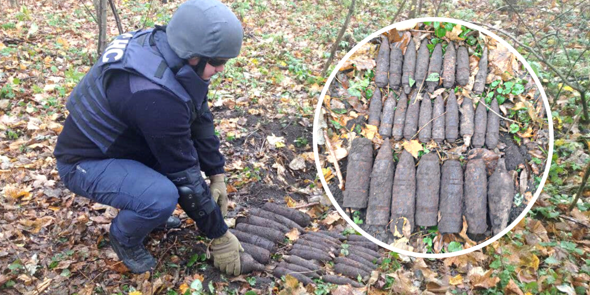 У Погребищенській громаді знешкодили 25 боєприпасів часів Другої світової