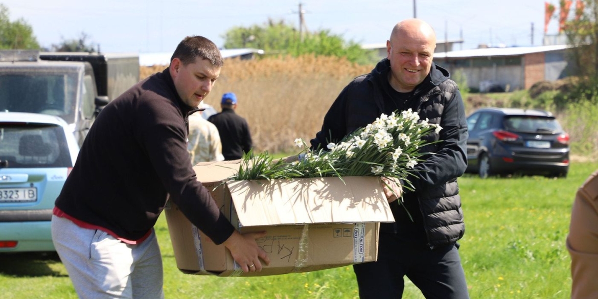 У Стрижавці місцеві жителі висадили десять тисяч нарцисів