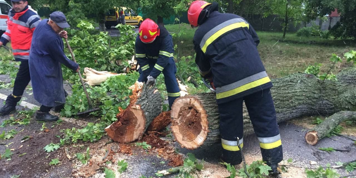 У трьох районах Вінниччини повалені вітром дерева перекрили автошляхи