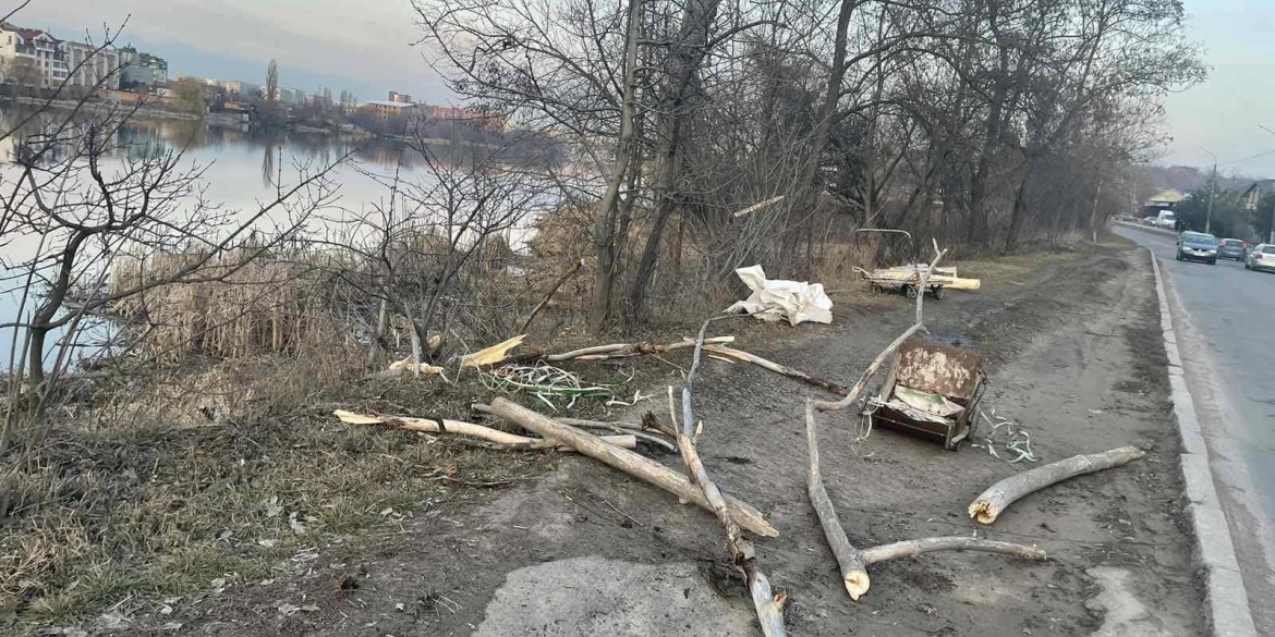 У Вінниці пошкодили зелені насадження на вул.Гліба Успенського