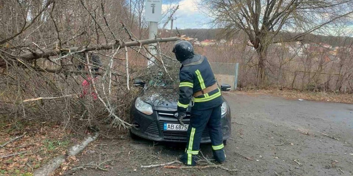 У Вінниці повалене вітром дерево впало на автомобіль