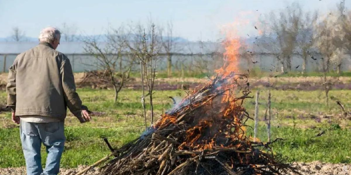 У Вінниці створили чотири мобільні групи з протидії спалювання сухої рослинності