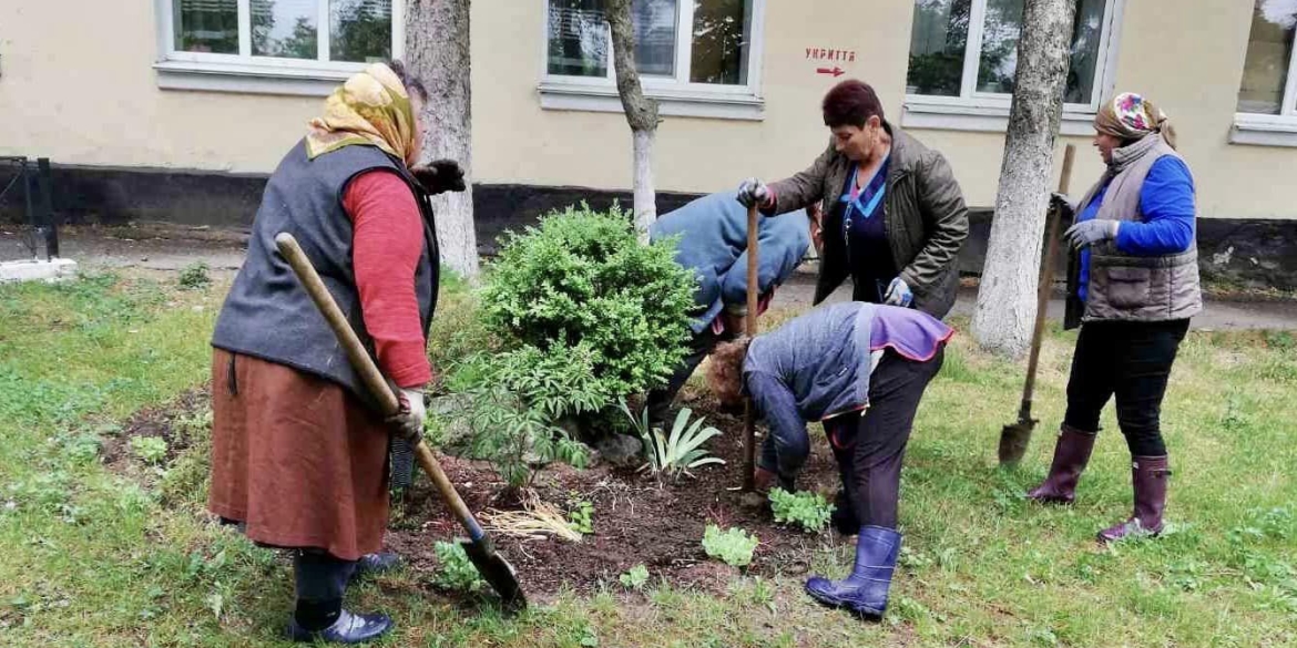 У Вінницько-Хутірському окрузі висадили півтисячі кущів троянд