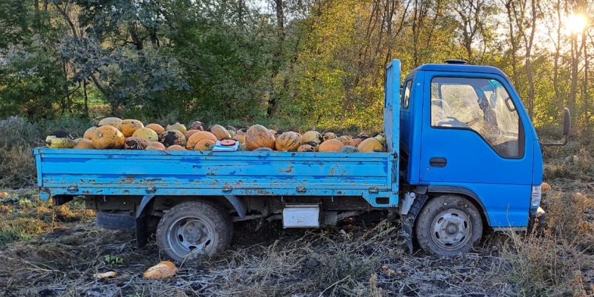 У Вінницькому районі вантажівка з гарбузами розчавила пішохода