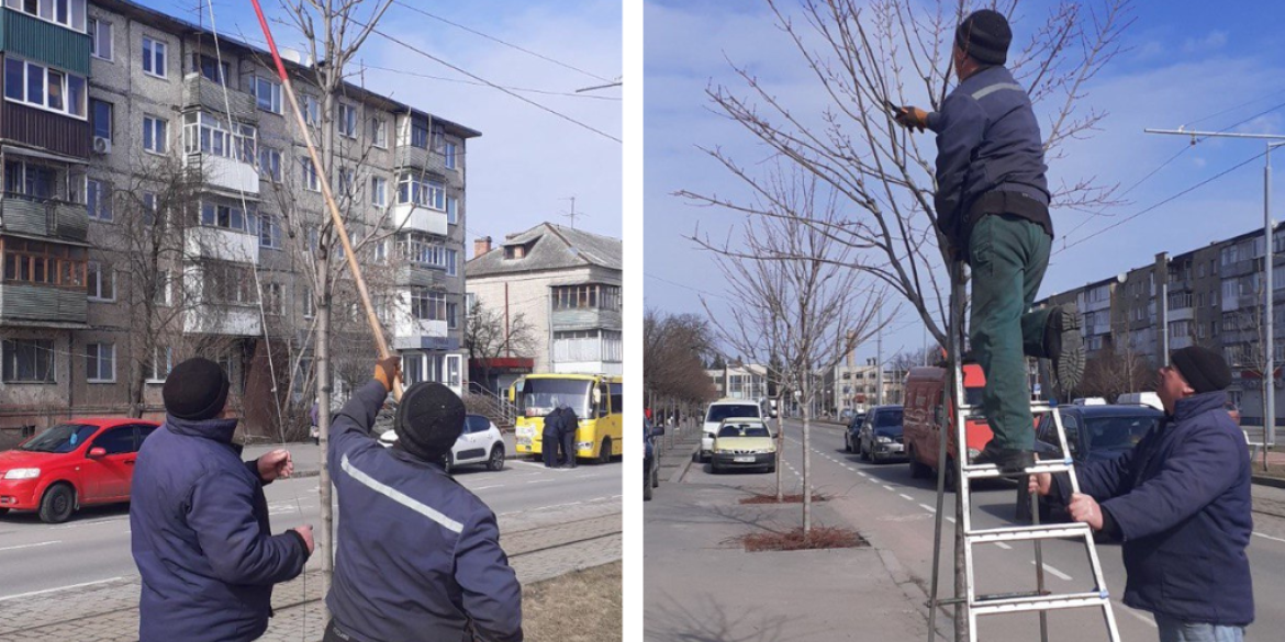 У "Вінницязеленбуді" розповіли, які роботи виконують напередодні потепління