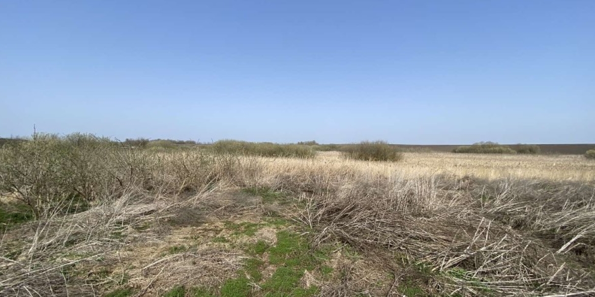 У Війтівецькій громаді невідомі забруднили земельну ділянку хімікатами