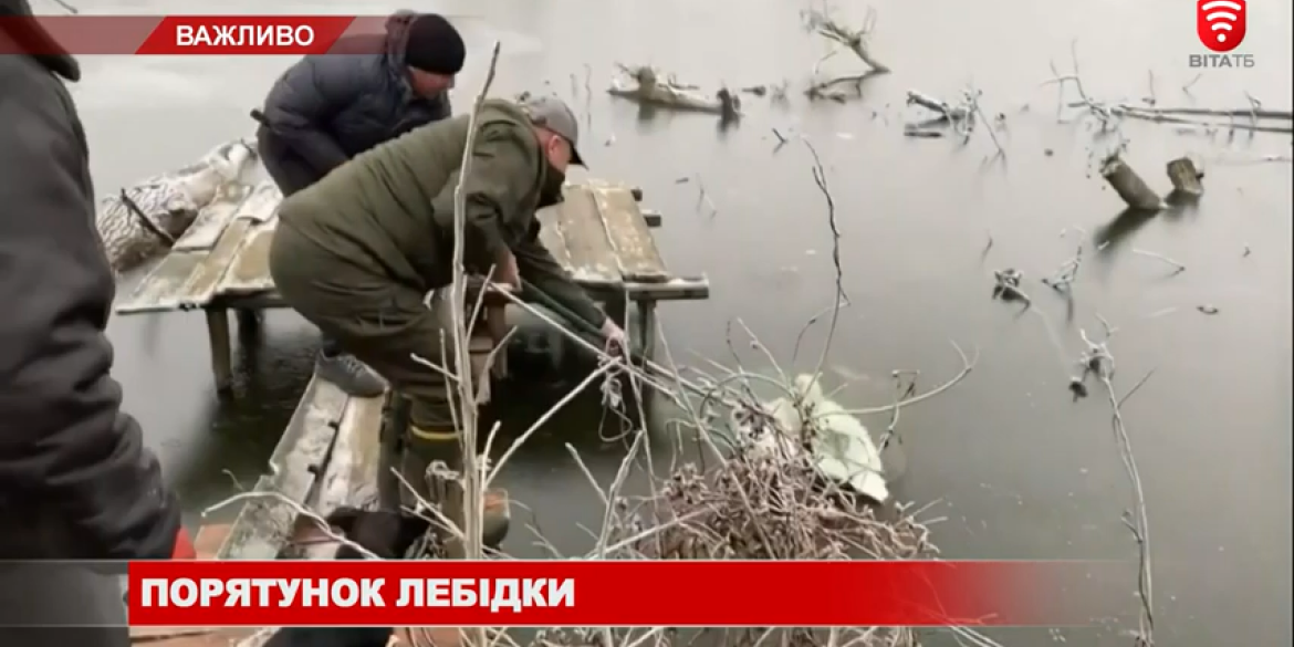 У Вороновиці небайдужі врятували лебідку