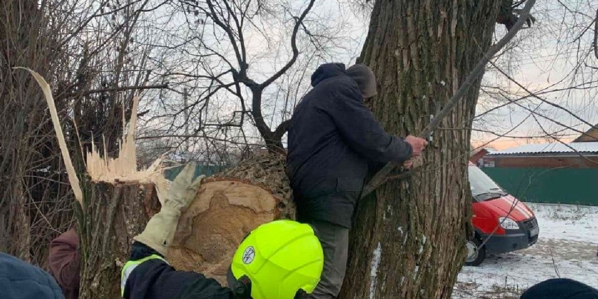 У Вороновицькій громаді ногу чоловіка затисло між стовбурами дерева