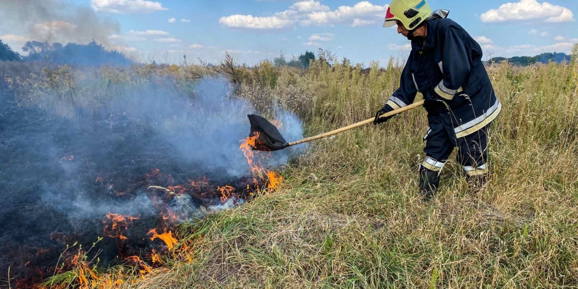 У Жмеринському районі вогонь обпалив майже три гектари землі