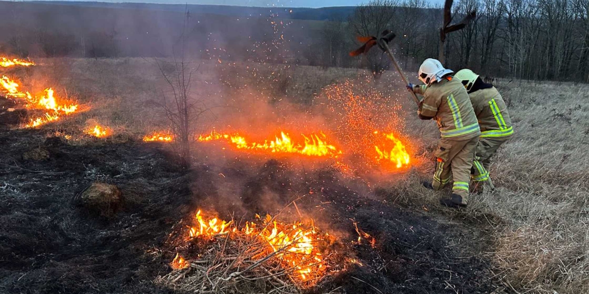 В Гайсинському районі вогонь обпалив майже 17 гектарів землі