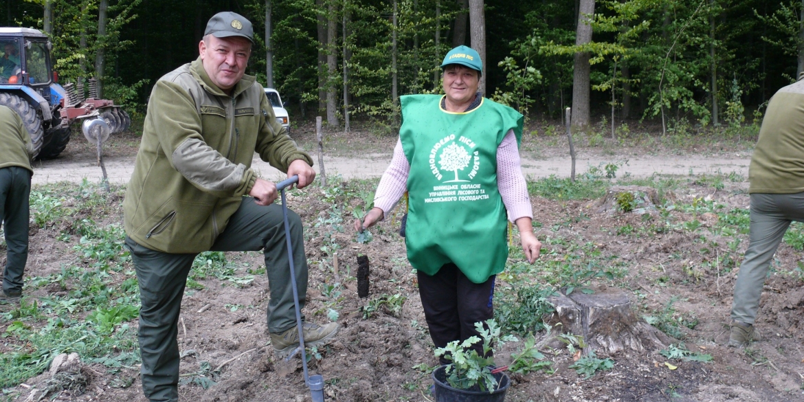 В Іллінецькому лісгоспі восени планують засадити деревами п'ять гектарів