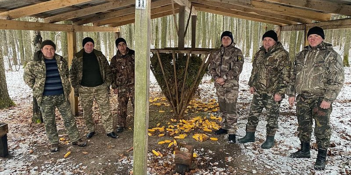 В лісах Вінниччини почали підгодовувати диких тварин