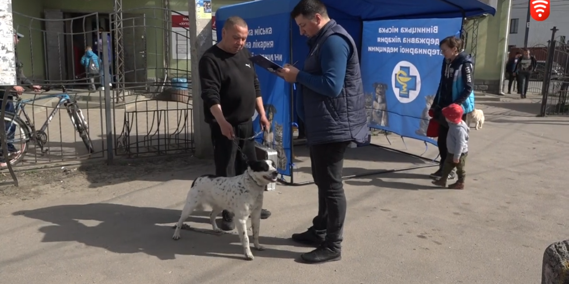 В мікрорайоні Бучми триває профілактична вакцинація тварин від сказу