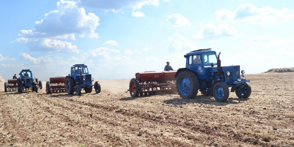 На Вінниччині ранні зернові посіяли на половині прогнозованих площ