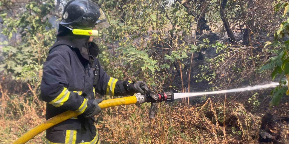 Вінницькі надзвичайники ліквідували 32 пожежі в природних екосистемах