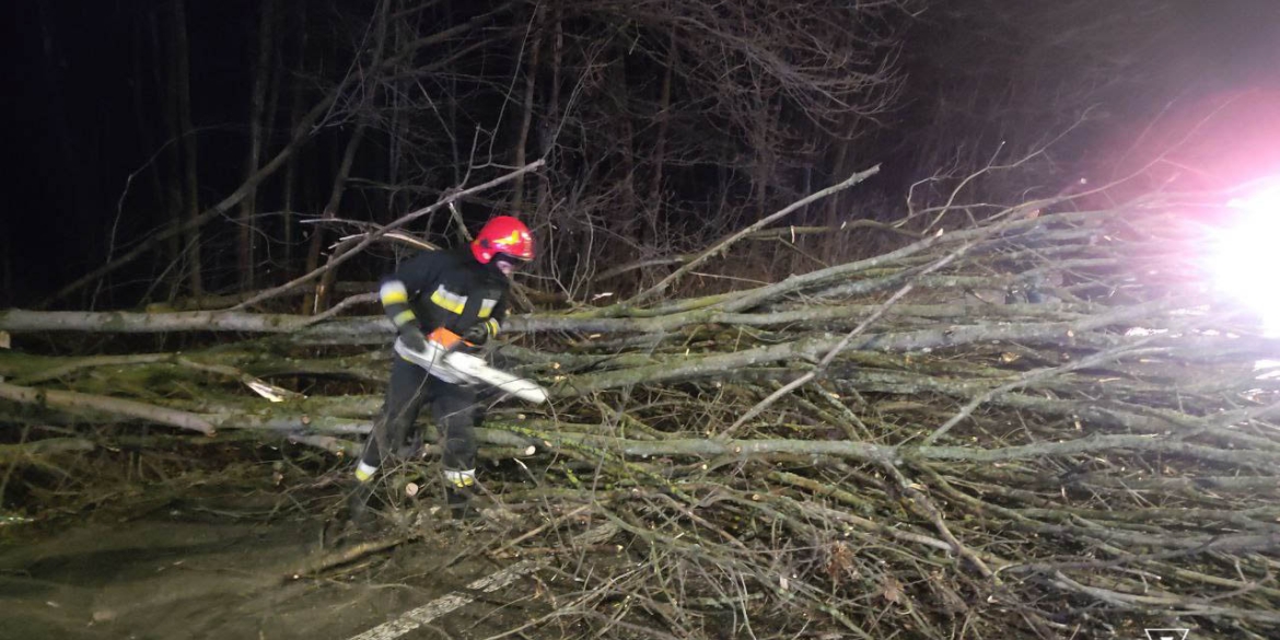 Вночі 25 грудня сильний вітер повалив дерева у Вінниці та області