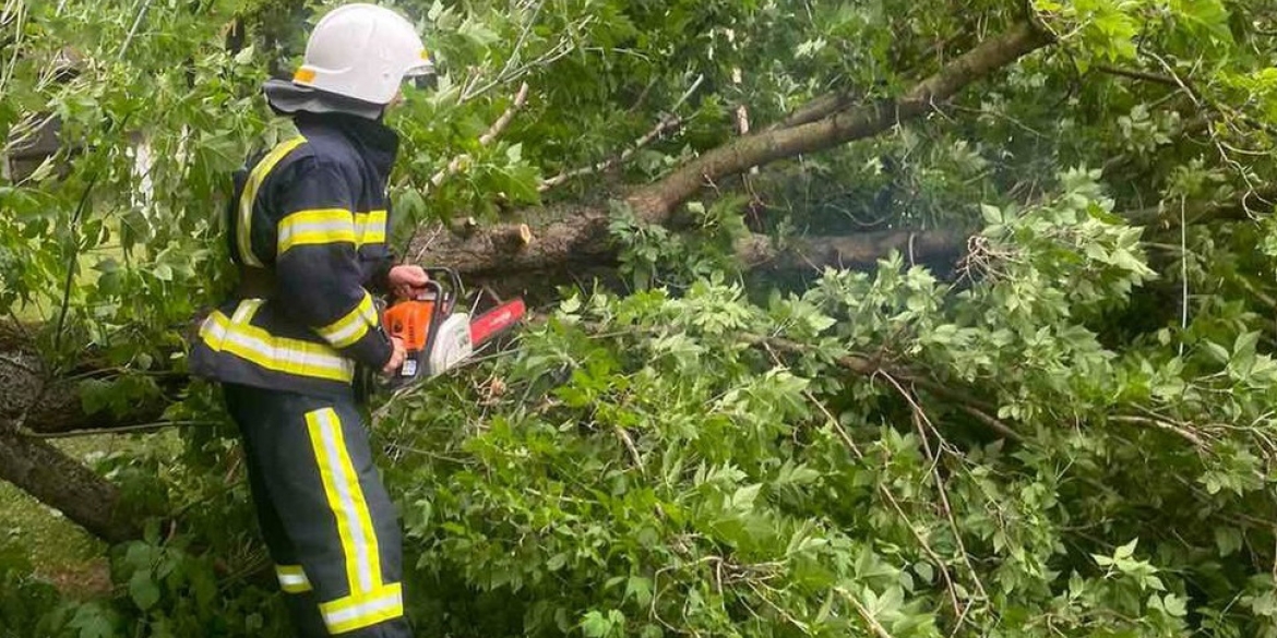 Вночі негода повалила дерева на дороги Вінниччини