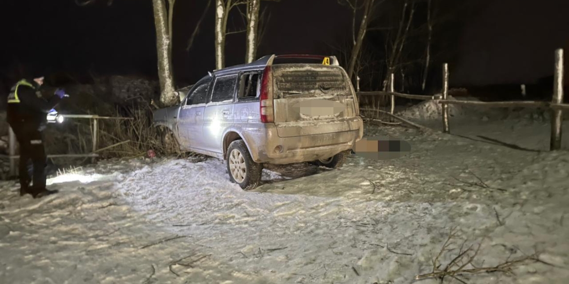 Водій загинув на місці у Літинській громаді автомобіль влетів у дерево