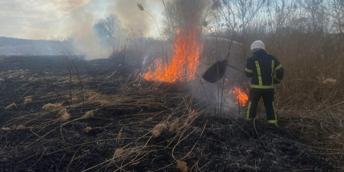 За добу, 23 березня, на Вінниччині сталося 12 пожеж в екосистемах