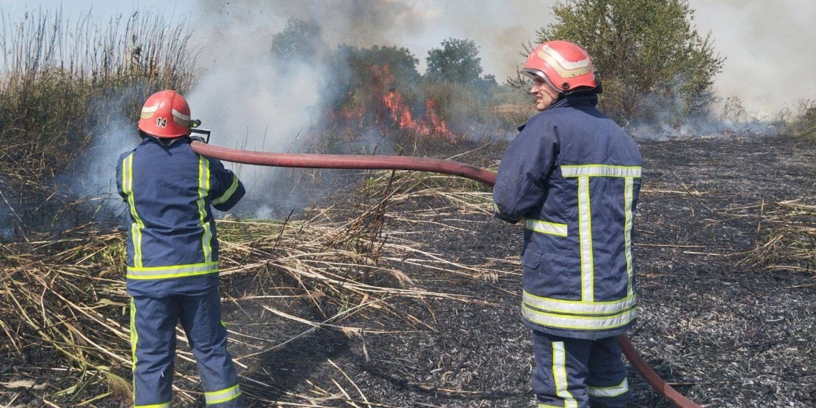 За добу, 27 серпня, на Вінниччині сталося 13 пожеж в екосистемах