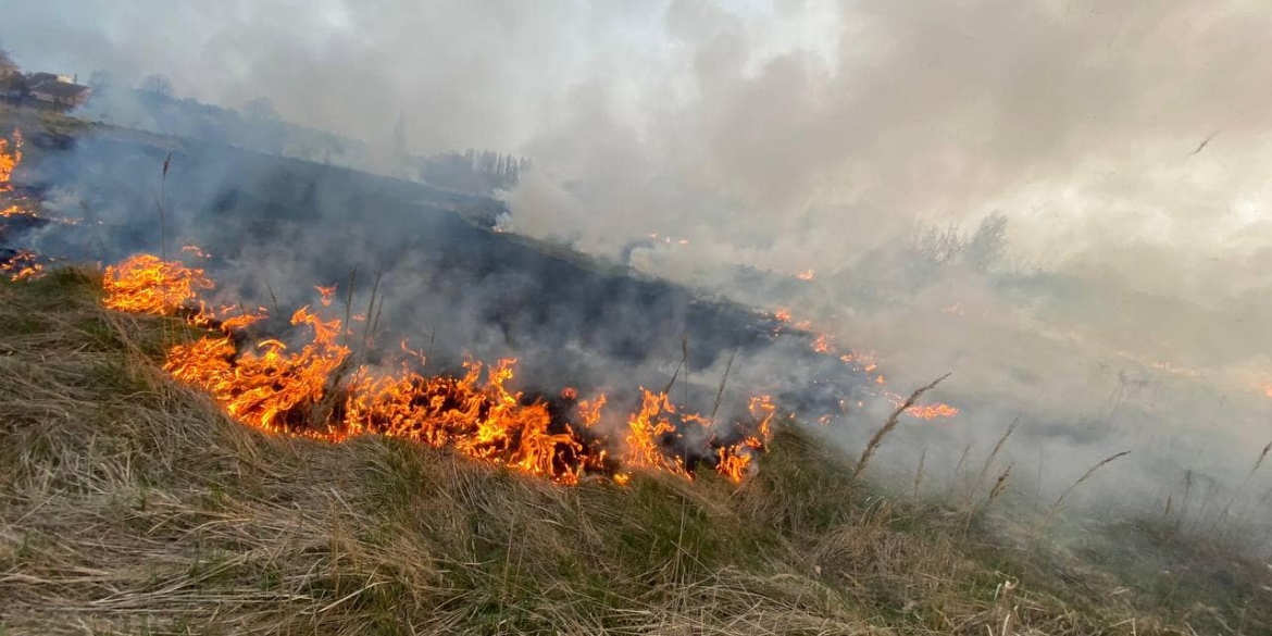 За добу на Вінниччині загасили сім пожеж, що сталися в екосистемах