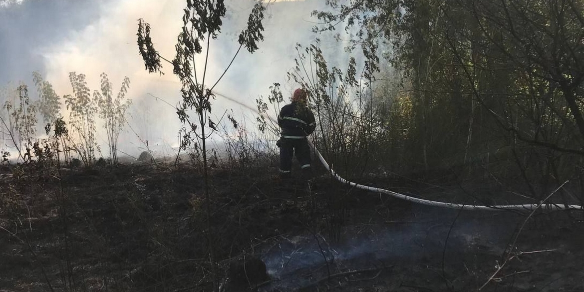 Жителька Стрижавської громади отримала опіки через загоряння трави