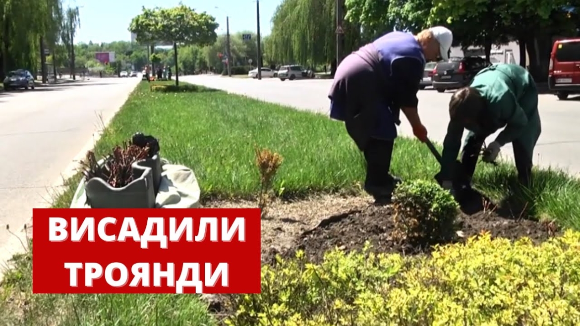 Embedded thumbnail for 3,5 тис.кущів троянд висадили на проспекті Юності у Вінниці