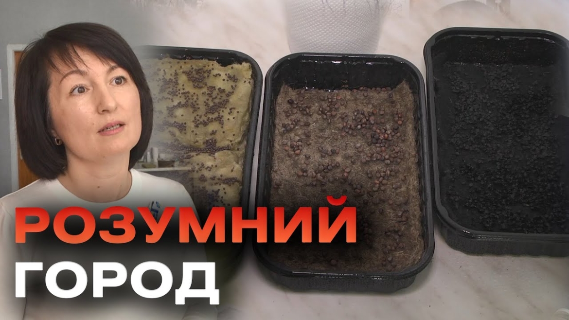 Embedded thumbnail for Корисну та популярну в усьому світі мікрозелень вирощують вінницькі учні