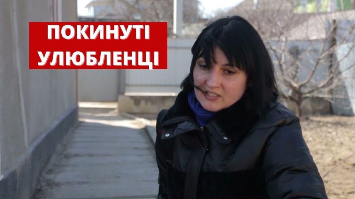 Embedded thumbnail for Котів і собак віддають волонтерам люди, які через війну виїздять за кордон