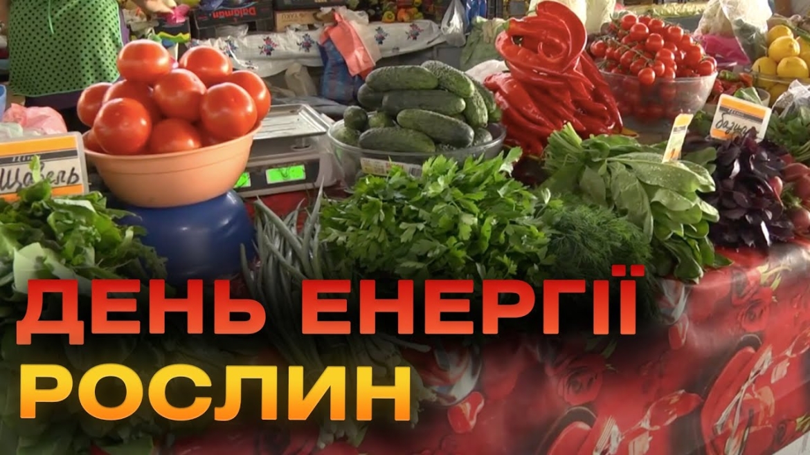 Embedded thumbnail for Щорічно 7 березня світ відзначає День енергії рослин