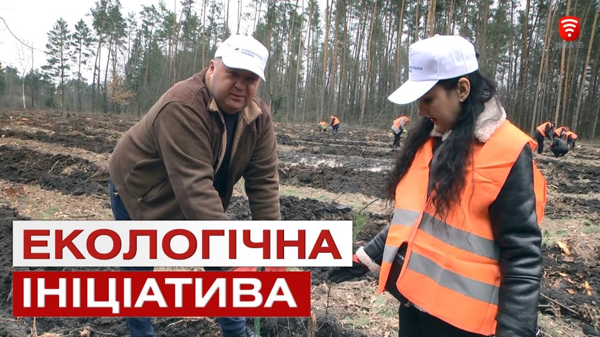 Embedded thumbnail for На Вінниччині висадили 8 тисяч сосен