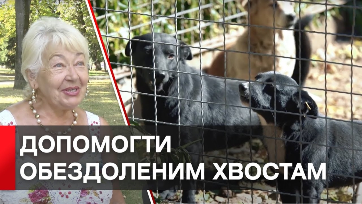 Embedded thumbnail for «Чашка кави на добро»: притулок «Планета» запустив безстрокову благодійну акцію