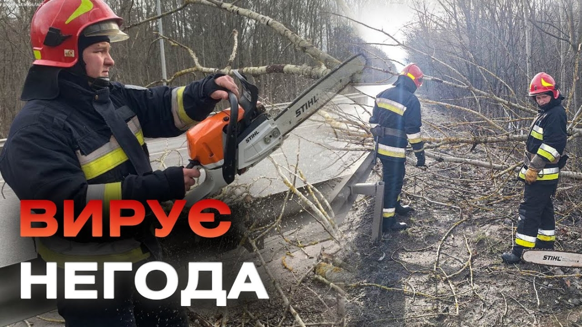 Embedded thumbnail for Поблизу Вінниці сильний вітер повалив дерева на дорогу