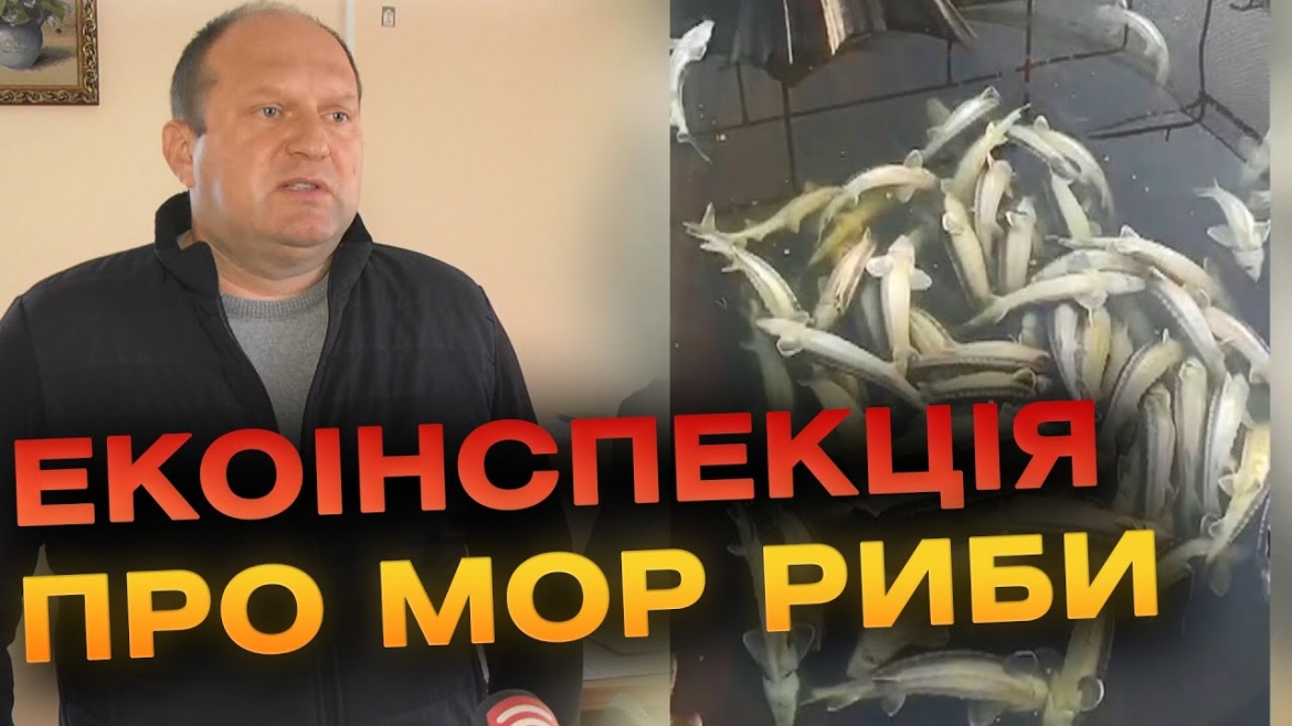 Embedded thumbnail for Мор червонокнижної риби в Ладижині - з&#039;явились перші результати проб води