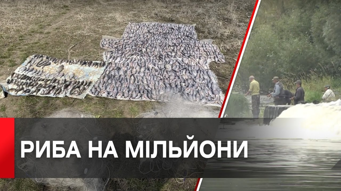 Embedded thumbnail for Штраф майже 2 мільйони гривень: на Вінниччині рибалка сітками наловив понад 83 кг риби