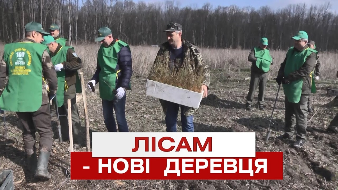 Embedded thumbnail for На Вінниччині триває Всеукраїнська акція &quot;Створюємо ліси разом&quot;