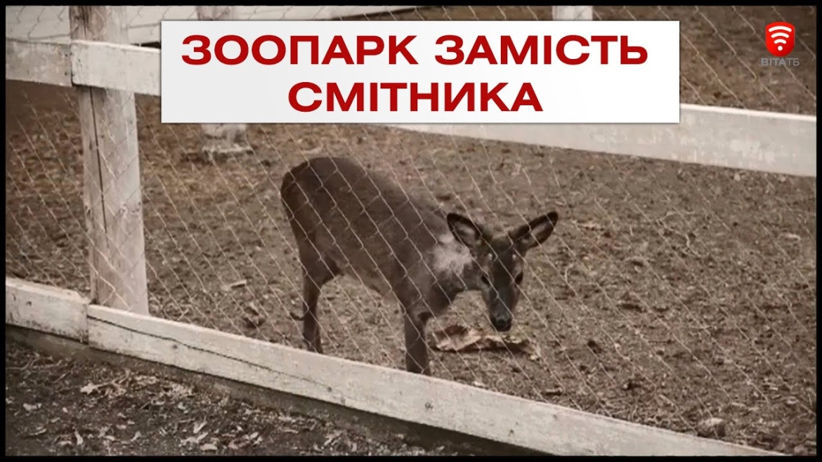 Embedded thumbnail for В Іллінецькій ТГ облаштували контактний зоопарк